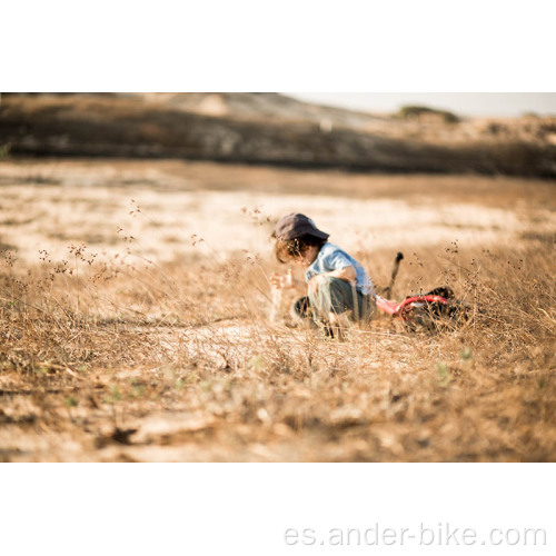 paseo en bicicleta de empuje para bebés en bicicleta de equilibrio para niños de acero de juguete